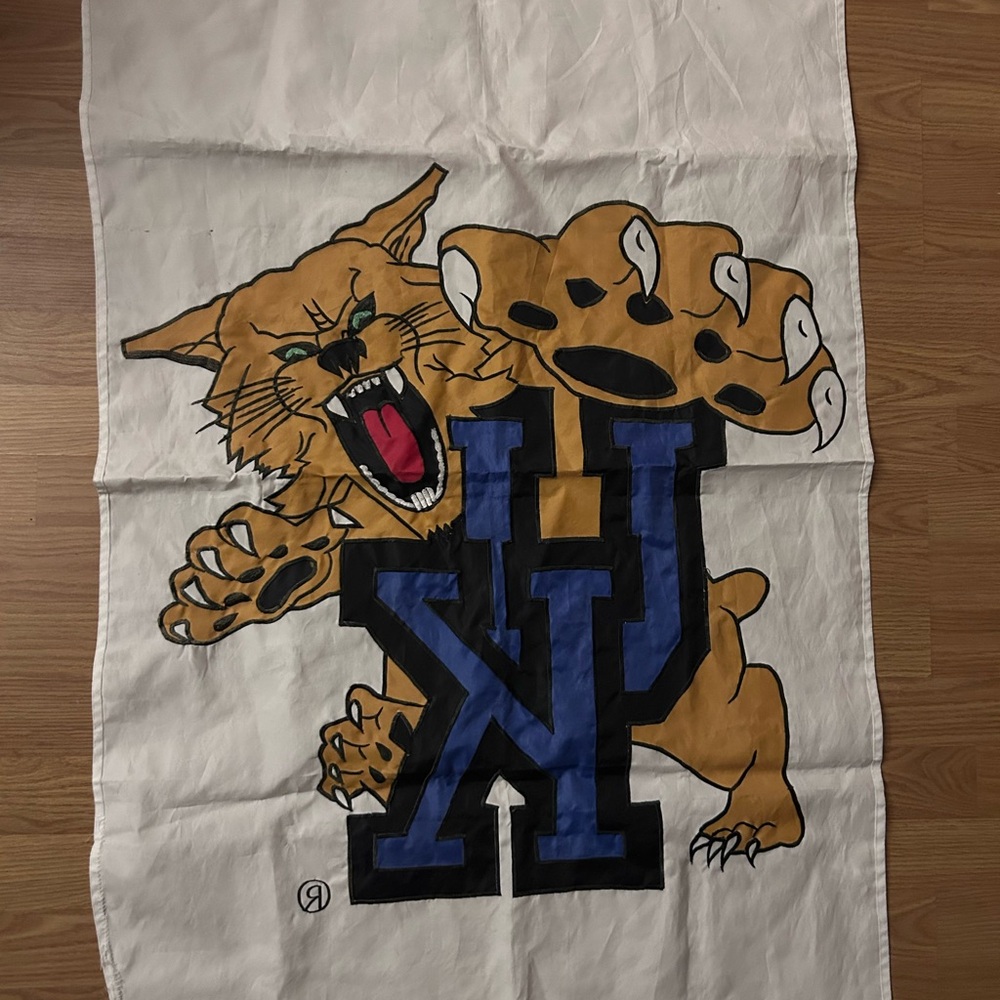 VINTAGE Wildcat Graphic Flag with Blue and Gold Crest